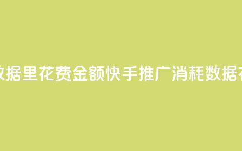 快手推广消耗数据里花费金额(快手推广消耗数据：花费金额大揭秘)  第1张