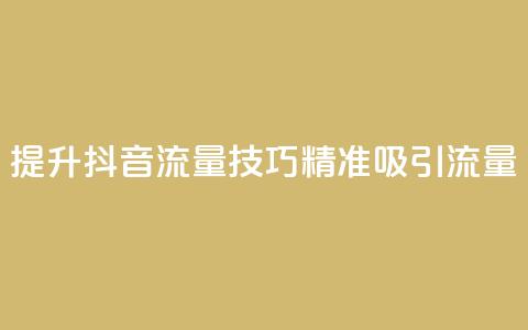 提升抖音流量技巧，精准吸引流量  第1张
