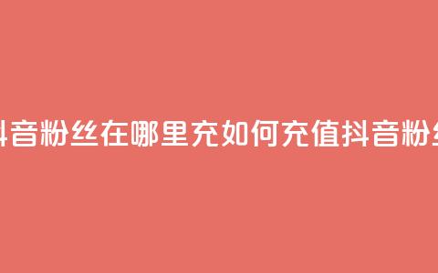 抖音粉丝在哪里充(如何充值抖音粉丝？)  第1张