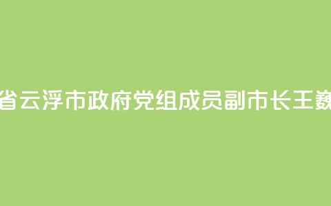 广东省云浮市政府党组成员、副市长王巍被查  第1张
