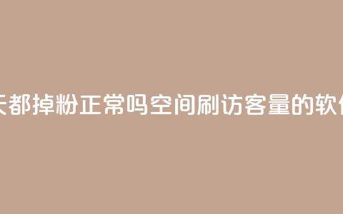 刷粉每天都掉粉正常吗 - QQ空间刷访客量的软件 第1张 刷粉每天都掉粉正常吗 - QQ空间刷访客量的软件 第1张