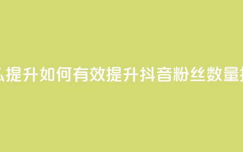 抖音有效粉丝怎么提升 - 如何有效提升抖音粉丝数量技巧大揭秘~  第1张