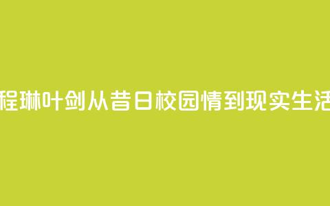程琳叶剑：从昔日校园情到现实生活  第1张