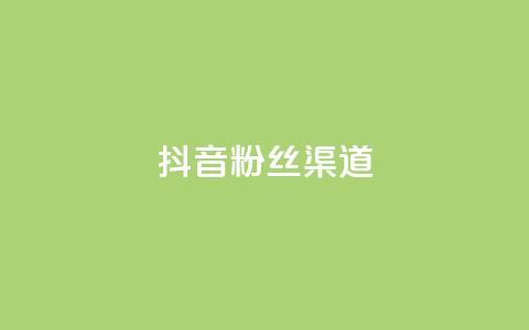 抖音粉丝渠道 - 如何通过抖音提高粉丝获取渠道的效果！  第1张