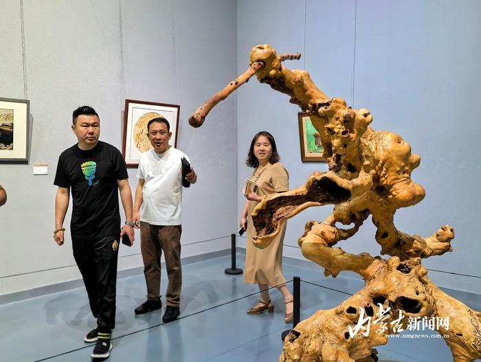 沿黄九省区民间工艺美术精品展在内蒙古美术馆开展 第4张 沿黄九省区民间工艺美术精品展在内蒙古美术馆开展 第4张