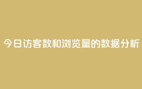 今日访客数和浏览量的数据分析 第1张 今日访客数和浏览量的数据分析 第1张