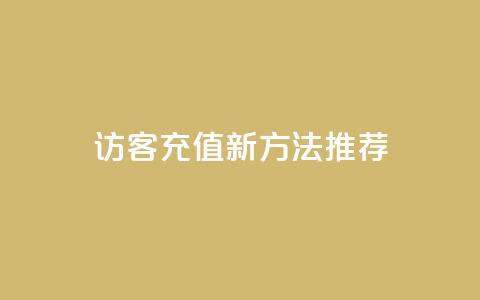 qq访客充值新方法推荐  第1张
