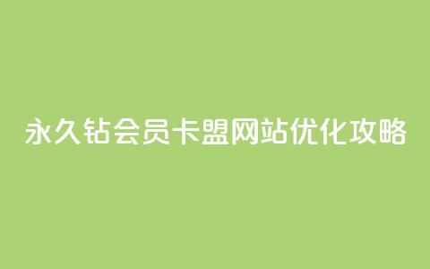 永久钻会员卡盟网站优化攻略  第1张