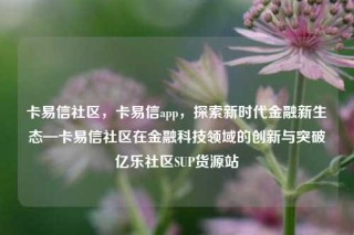 卡易信社区，卡易信app，探索新时代金融新生态—卡易信社区在金融科技领域的创新与突破亿乐社区SUP货源站