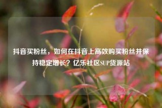 抖音买粉丝，如何在抖音上高效购买粉丝并保持稳定增长？亿乐社区SUP货源站