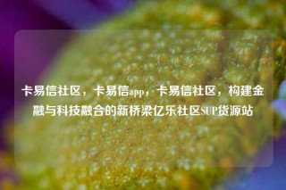 卡易信社区，卡易信app，卡易信社区，构建金融与科技融合的新桥梁亿乐社区SUP货源站