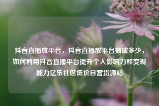抖音直播放平台，抖音直播放平台抽成多少，如何利用抖音直播平台提升个人影响力和变现能力亿乐社区低价自营货源站
