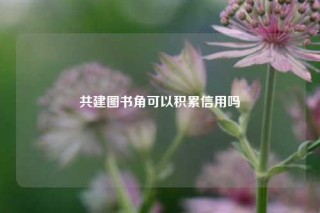 共建图书角可以积累信用吗