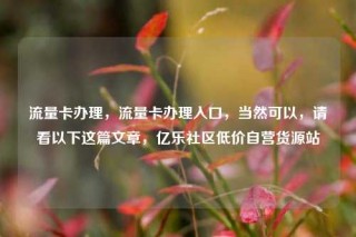 流量卡办理，流量卡办理入口，当然可以，请看以下这篇文章，亿乐社区低价自营货源站
