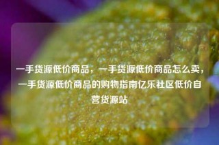 一手货源低价商品，一手货源低价商品怎么卖，一手货源低价商品的购物指南亿乐社区低价自营货源站