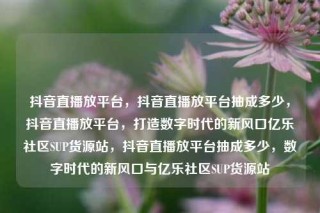 抖音直播放平台，抖音直播放平台抽成多少，抖音直播放平台，打造数字时代的新风口亿乐社区SUP货源站，抖音直播放平台抽成多少，数字时代的新风口与亿乐社区SUP货源站