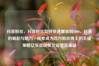 抖音粉丝，抖音粉丝如何快速增加到1000，抖音的崛起与魅力，探索成为百万粉丝博主的关键策略亿乐社区低价自营货源站