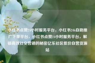 小红书点赞24小时服务平台，小红书24h自助推广下单平台，小红书点赞24小时服务平台，解锁高效社交营销的秘密亿乐社区低价自营货源站