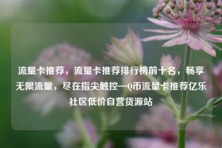 流量卡推荐，流量卡推荐排行榜前十名，畅享无限流量，尽在指尖触控—Q币流量卡推荐亿乐社区低价自营货源站
