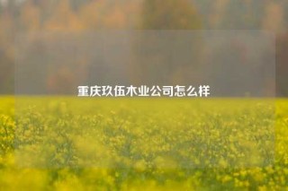 重庆玖伍木业公司怎么样