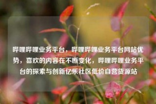 哔哩哔哩业务平台，哔哩哔哩业务平台网站优势，喜欢的内容在不断变化，哔哩哔哩业务平台的探索与创新亿乐社区低价自营货源站