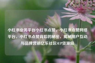 小红书业务平台小红书点赞，小红书点赞网络平台，小红书点赞背后的秘密，揭秘用户互动与品牌营销亿乐社区SUP货源站