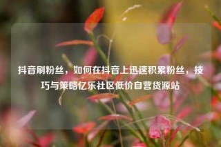 抖音刷粉丝，如何在抖音上迅速积累粉丝，技巧与策略亿乐社区低价自营货源站