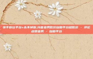 快手粉丝平台+永不掉粉,抖音业务低价自助平台超低价 - 评论点赞业务 - 自助平台