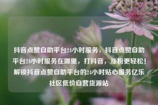 抖音点赞自助平台24小时服务，抖音点赞自助平台24小时服务在哪里，打抖音，涨粉更轻松！解锁抖音点赞自助平台的24小时贴心服务亿乐社区低价自营货源站