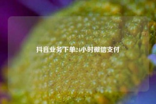 抖音业务下单24小时微信支付