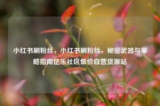 小红书刷粉丝，小红书刷粉丝，秘密武器与策略指南亿乐社区低价自营货源站
