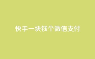 快手一块钱100个微信支付,qq绿钻低价开通网站 - 快手点赞播放量增加网址 - 免费领快手播放量的软件
