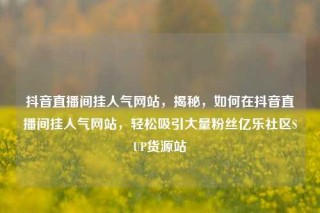抖音直播间挂人气网站，揭秘，如何在抖音直播间挂人气网站，轻松吸引大量粉丝亿乐社区SUP货源站