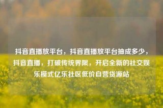 抖音直播放平台，抖音直播放平台抽成多少，抖音直播，打破传统界限，开启全新的社交娱乐模式亿乐社区低价自营货源站