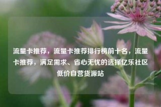 流量卡推荐，流量卡推荐排行榜前十名，流量卡推荐，满足需求、省心无忧的选择亿乐社区低价自营货源站
