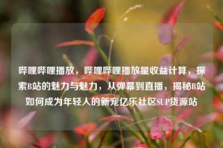 哔哩哔哩播放，哔哩哔哩播放量收益计算，探索B站的魅力与魅力，从弹幕到直播，揭秘B站如何成为年轻人的新宠亿乐社区SUP货源站