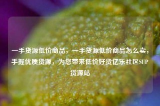 一手货源低价商品，一手货源低价商品怎么卖，手握优质货源，为您带来低价好货亿乐社区SUP货源站