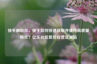 快手刷粉丝，快手如何快速获取并维持高质量粉丝？亿乐社区低价自营货源站
