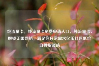 纯流量卡，纯流量卡免费申请入口，纯流量卡，解锁无限网络，满足你日常需求亿乐社区低价自营货源站