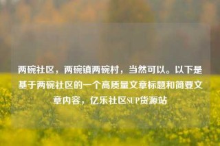 两碗社区，两碗镇两碗村，当然可以。以下是基于两碗社区的一个高质量文章标题和简要文章内容，亿乐社区SUP货源站