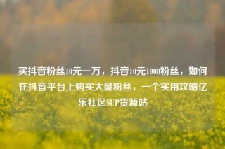 买抖音粉丝10元一万，抖音10元1000粉丝，如何在抖音平台上购买大量粉丝，一个实用攻略亿乐社区SUP货源站
