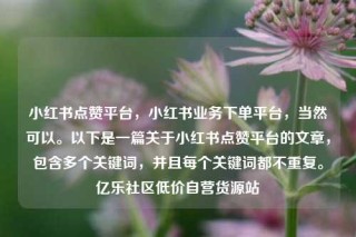 小红书点赞平台，小红书业务下单平台，当然可以。以下是一篇关于小红书点赞平台的文章，包含多个关键词，并且每个关键词都不重复。亿乐社区低价自营货源站