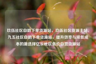 玖伍社区自助下单货源站，玖伍社区货源主站，九五社区自助下单货源站，提升效率与降低成本的新选择亿乐社区低价自营货源站