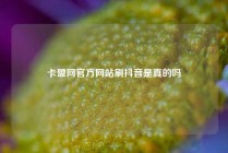 卡盟网官方网站刷抖音是真的吗