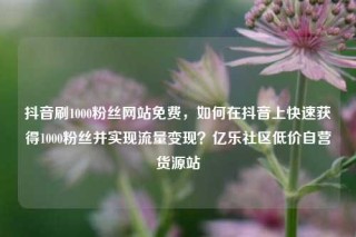 抖音刷1000粉丝网站免费，如何在抖音上快速获得1000粉丝并实现流量变现？亿乐社区低价自营货源站