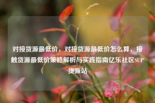 对接货源最低价，对接货源最低价怎么算，接触货源最低价策略解析与实践指南亿乐社区SUP货源站