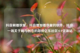 抖音刷播放量，抖音增加播放量的软件，抖音，一场关于刷与创作的游戏亿乐社区SUP货源站