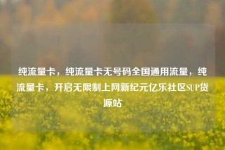 纯流量卡，纯流量卡无号码全国通用流量，纯流量卡，开启无限制上网新纪元亿乐社区SUP货源站