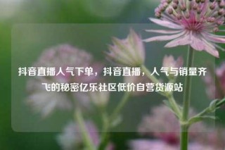 抖音直播人气下单，抖音直播，人气与销量齐飞的秘密亿乐社区低价自营货源站