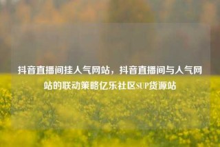 抖音直播间挂人气网站，抖音直播间与人气网站的联动策略亿乐社区SUP货源站